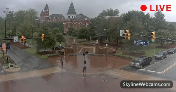 Auburn Toomer's Oaks
