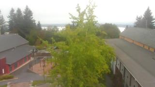Bellevue Park