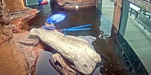 カルバート海洋博物館