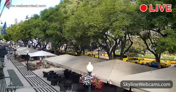 Avenida Funchal Arriaga