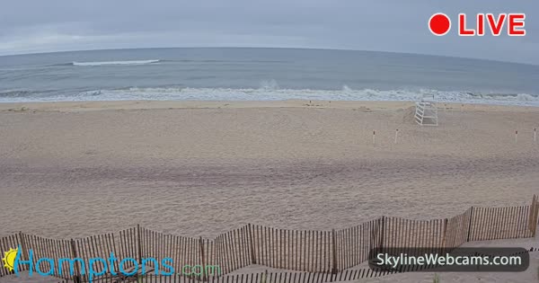 Hampton Bays Tiana Strand
