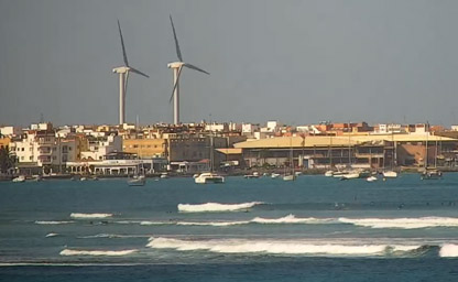 Alinee Surf Camp Fuerteventura