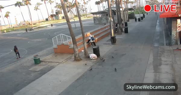 Лос-Анджелес Венецианский пляж