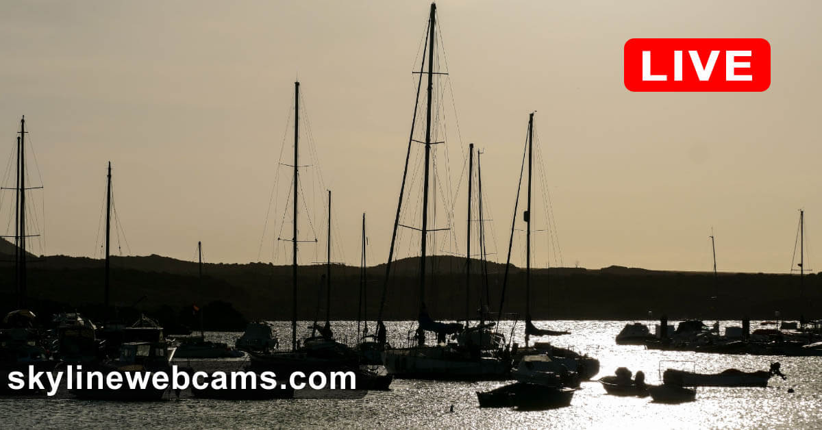 Marina del Sur Las Galletas