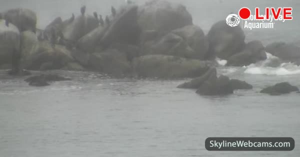 Bahía de Monterey