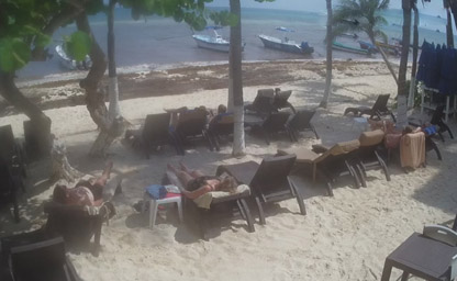 Playa Palms Beach Hotel