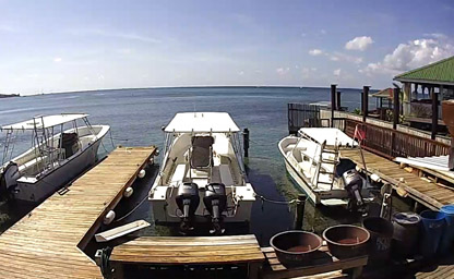 Roatan Divers West End