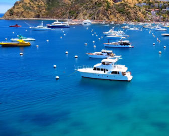 Tour Aérea de Catalina Island, CA