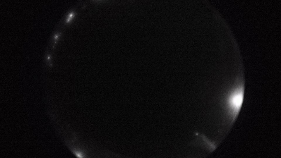 アンティオキア ヒラルドータ