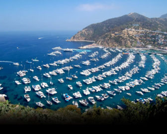 Avalon Harbor