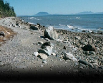 Birch Bay Getaway Clam
