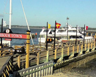 Calibogue Sound Webcam à Hilton Head