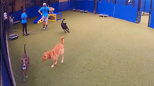 Cidade Park Cam, Jefferson