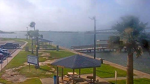 コン・ブラウン・ハーバー