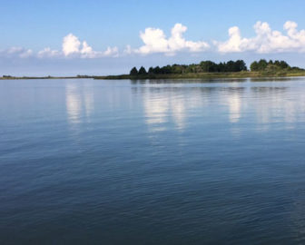 Crisfield, Md Live Bay  Highlights