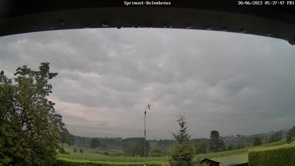 ドレンブリュー・スプリモント