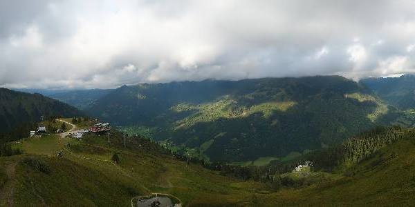 Donnersbachwald