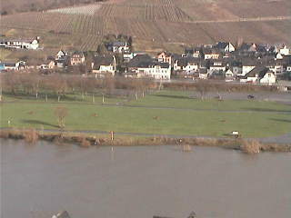 Live HD Webcam Enkirch: View of Enkirch, Enkirch: View of Enkirch Webcam