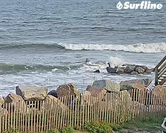 Folly Beach, SC Surf by Surfline