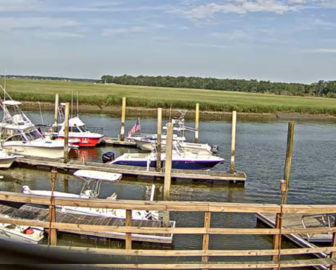 Hogans Marina Webcam в Саванне