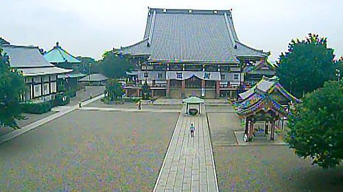 Mp ぇ い い い m