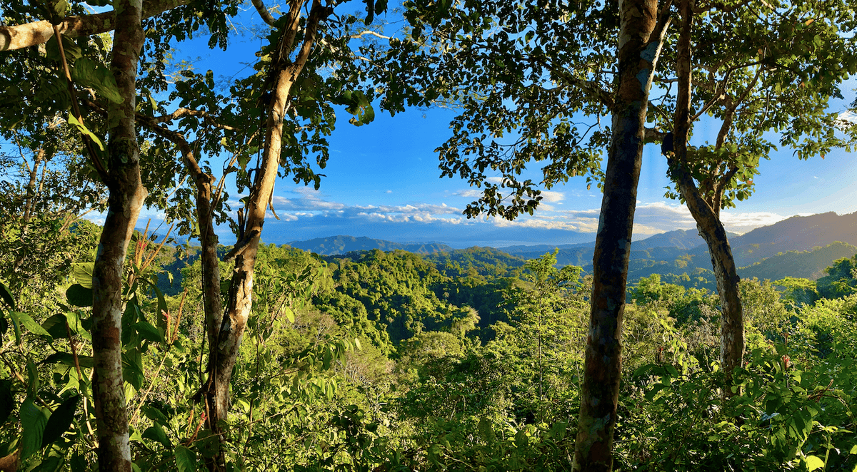 Karen Mogensen Nature Reserve