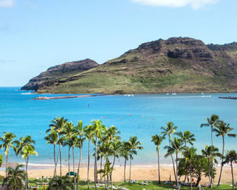 Alrizit Resort Kauai Mariot Dee Honolulu