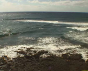 Kuhio Shores Live Surf