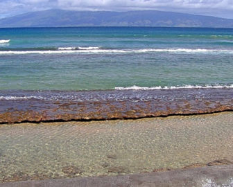 マウイサンズリゾートビーチ