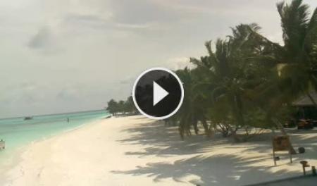 Meeru Island (North Malé Atoll)