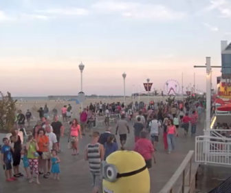 Ocean Gallery Webcam Highlights