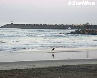 Oceanside Harbor Surf by Surfline