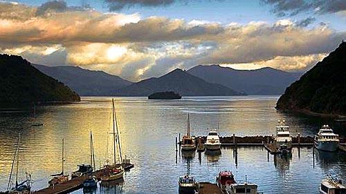 ピクトンフォーショアカム