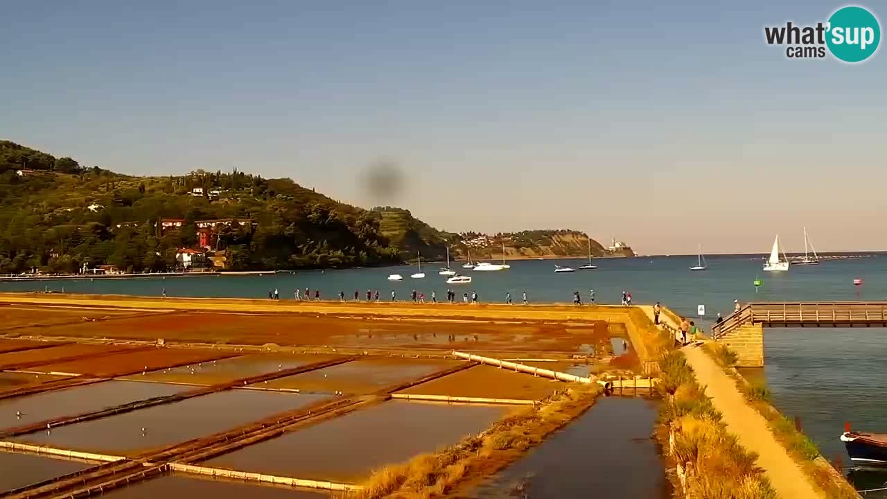 Piran: Naturpark Strunjan