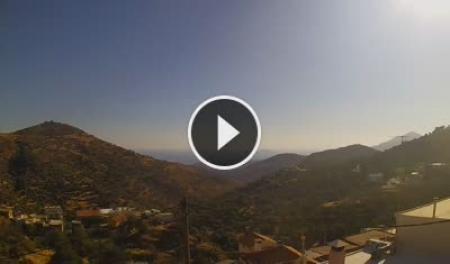 Plátanos: Platanos Amariou