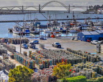 Puerto de Newport Marina