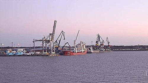 Reposear Cam, поры