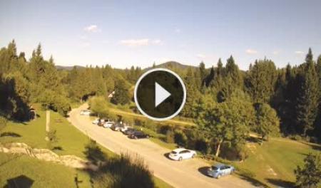 Risnjak National Park: HD-Stream Risnjak National Park