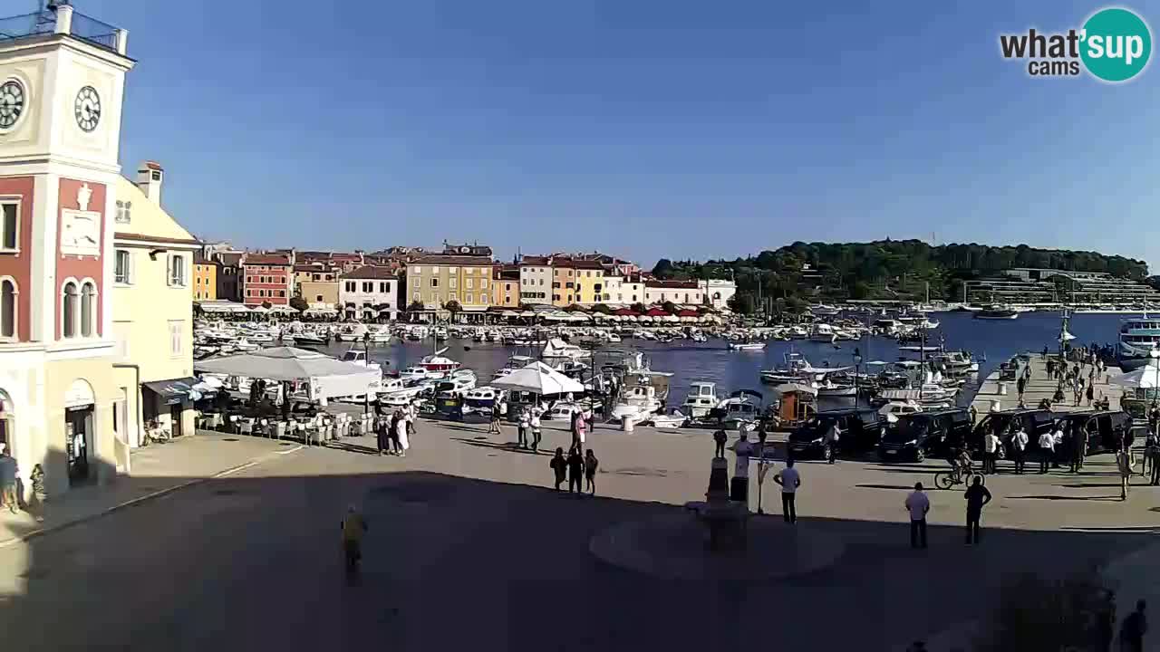Rovinj: Livestream Main Square