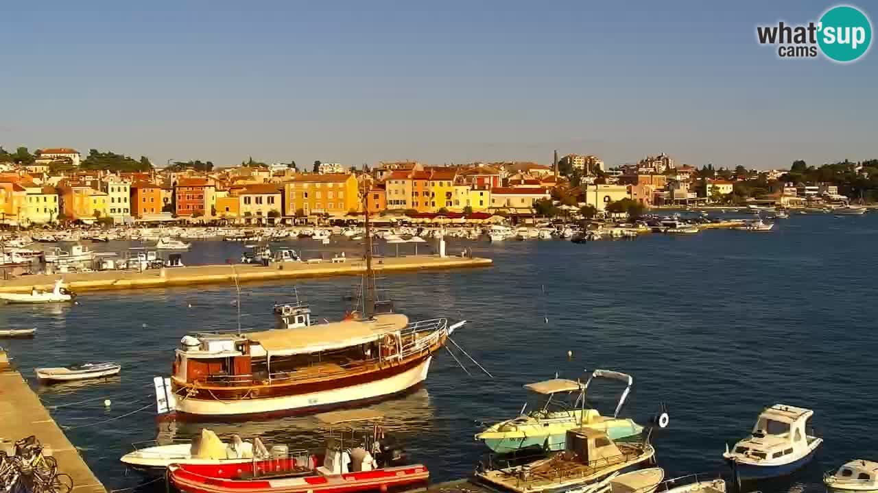 Rovinj: Livestream Seaside Promenade and Marina