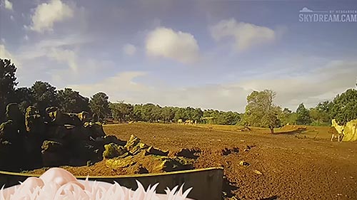 Savannah, Rabatt Zoo