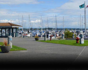 Semiahmoo Marina en vivo