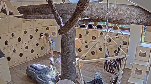 Stredocesky Cat Inn Hotel