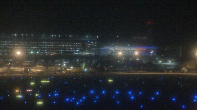 Тампа, штат Флорида: Отель Renaissance Tampa International Plaza