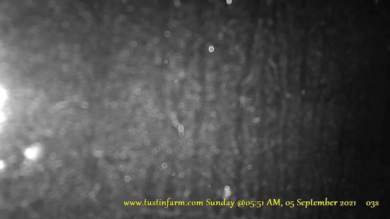 Tustin, Michigan: Mehrere Ansichten