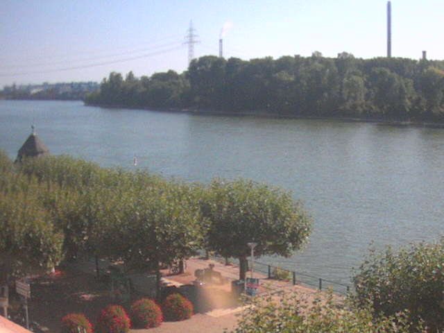 Wiesbaden-Biebrich: Río Rin