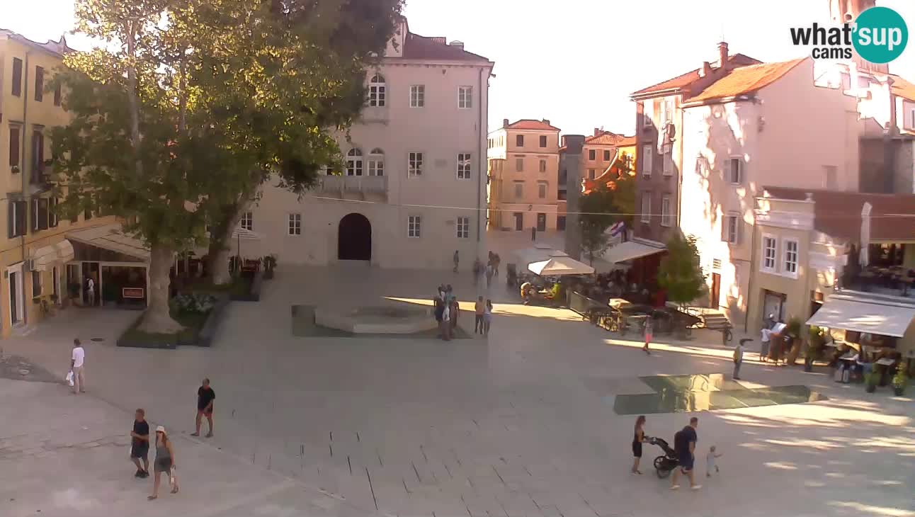 Zadar:Trg Petra Zoranića