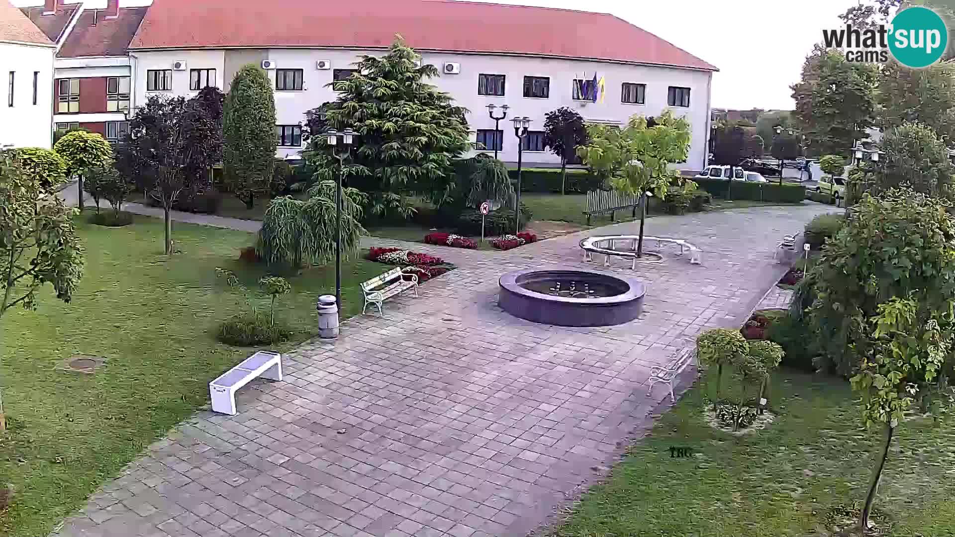 Čazma: Čazmanskog Kaptola Square